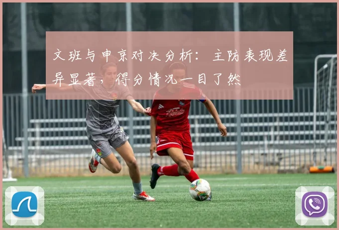 文班与申京对决分析：主防表现差异显著，得分情况一目了然
