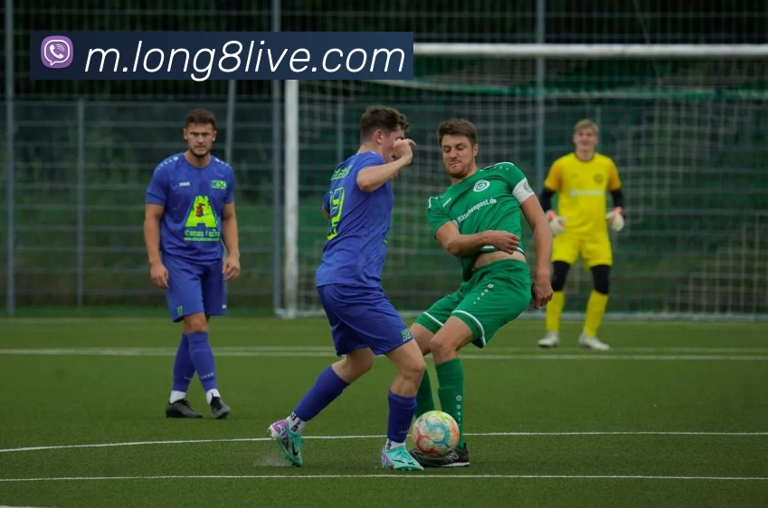 App Interface Preview