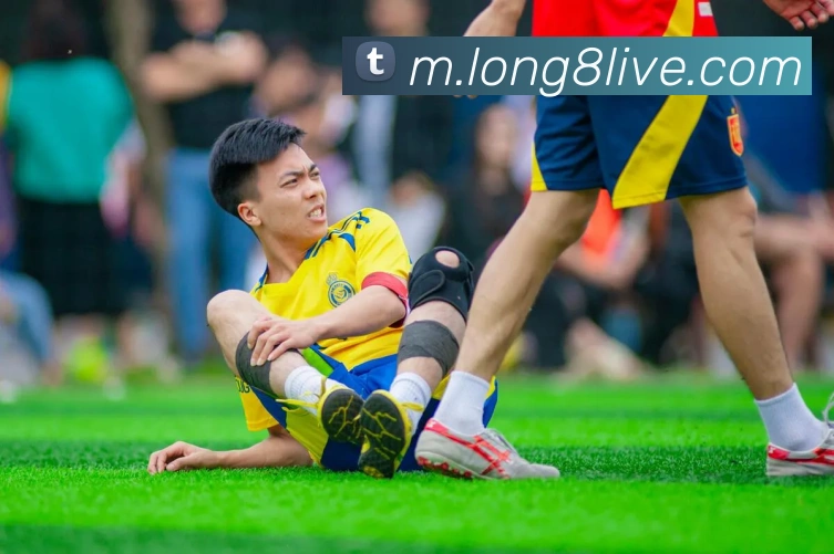 龙8集团APP 封面图